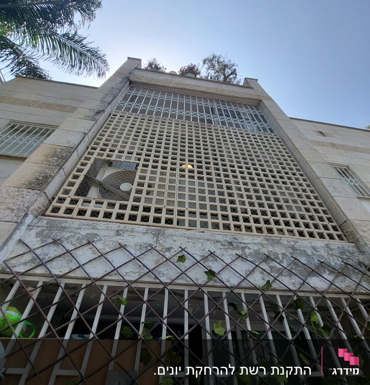 סורגי מתכת על חלון עם צמח מטפס